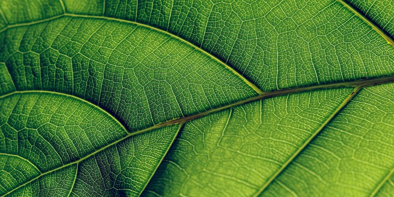 Construction Carbon project image