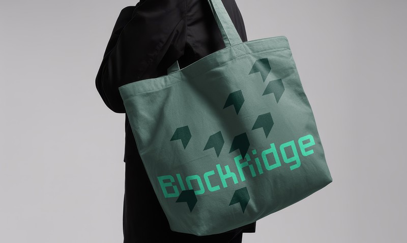 Blockridge-CS-10